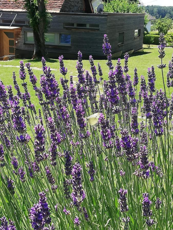 Ferienwohnung Wachmann Rohrbach am Kulm Eksteriør bilde
